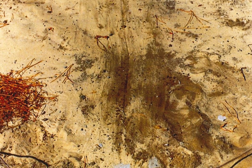 Markings on a sandy patch of land-photo taken by police at Karrakatta in the hours following the attack, showing ground markings consistent with something or somebody being dragged